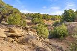 TBD County Road 521 - Photo 13