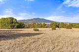 TBD County Road 521 - Photo 16
