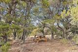 TBD County Road 521 - Photo 4