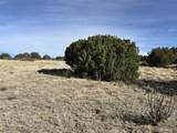 Lot 122 Ghost River Ranch - Photo 10
