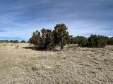 Lot 122 Ghost River Ranch - Photo 12