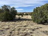 Lot 122 Ghost River Ranch - Photo 15