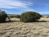 Lot 122 Ghost River Ranch - Photo 17