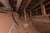 442-444 1st St - Photo 28