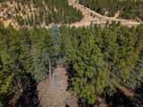 TBD Dude Canyon - Photo 28