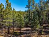 TBD Dude Canyon - Photo 30