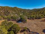 TBD Four Mile Canyon - Photo 10