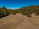 TBD Four Mile Canyon - Photo 12