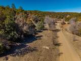 TBD Four Mile Canyon - Photo 13