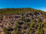 TBD Four Mile Canyon - Photo 15