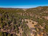 TBD Four Mile Canyon - Photo 16