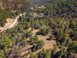 TBD Four Mile Canyon - Photo 23
