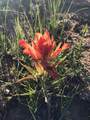 TBD Four Mile Canyon - Photo 35