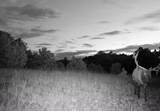 TBD Four Mile Canyon - Photo 40