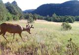 TBD Four Mile Canyon - Photo 42