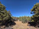 TBD Four Mile Canyon - Photo 45