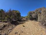 TBD Four Mile Canyon - Photo 46