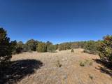 TBD Four Mile Canyon - Photo 48