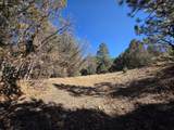 TBD Four Mile Canyon - Photo 50