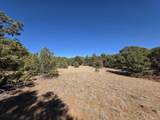 TBD Four Mile Canyon - Photo 51