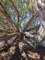 TBD Four Mile Canyon - Photo 52