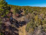 TBD Four Mile Canyon - Photo 8