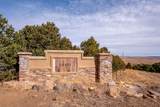 26131 Pinon Ridge Drive - Photo 51