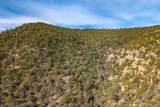 26131 Pinon Ridge Drive - Photo 57