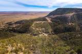 26131 Pinon Ridge Drive - Photo 59