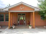 421 Terrace Trail - Photo 58