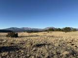 21 Turkey Creek Ranches - Photo 7