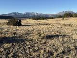21 Turkey Creek Ranches - Photo 8