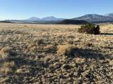 21 Turkey Creek Ranches - Photo 9