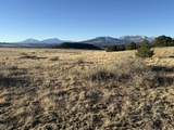 22 Turkey Creek Ranches - Photo 10