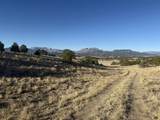 22 Turkey Creek Ranches - Photo 25
