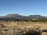 22 Turkey Creek Ranches - Photo 4