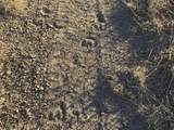 22 Turkey Creek Ranches - Photo 8