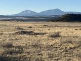 22 Turkey Creek Ranches - Photo 9