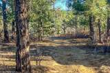 13240 Big Pine Ridge Rd - Photo 34