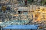 13240 Big Pine Ridge Rd - Photo 38