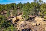 13240 Big Pine Ridge Rd - Photo 46