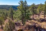 13240 Big Pine Ridge Rd - Photo 47