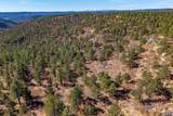 13240 Big Pine Ridge Rd - Photo 49