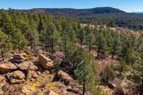 13240 Big Pine Ridge Rd - Photo 50