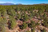 13240 Big Pine Ridge Rd - Photo 52