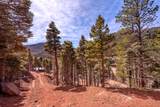 75 Emerald Lane - Photo 43
