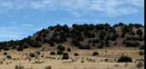 43984 Taos Trail - Photo 4