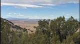 43984 Taos Trail - Photo 5