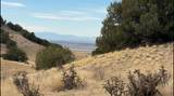 43984 Taos Trail - Photo 9