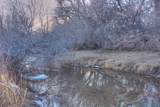 Lot 3A River Ridge Ranch - Photo 11